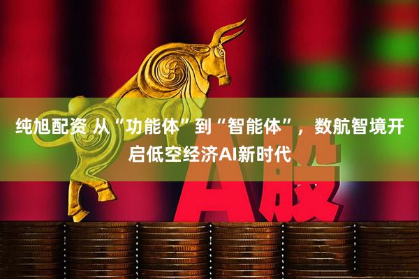 纯旭配资 从“功能体”到“智能体”，数航智境开启低空经济AI新时代